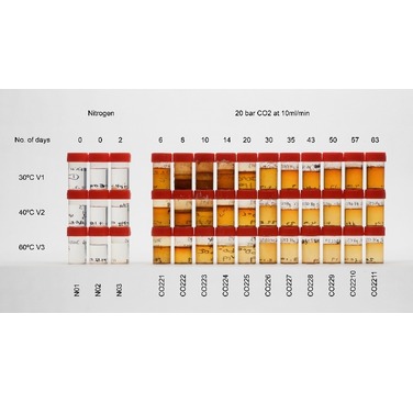 Figure 5. Visual indication of [Fe2+] seen in aliquots extracted over the test duration